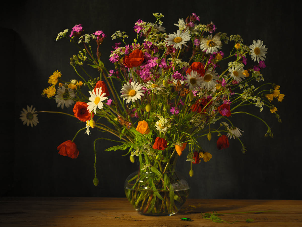 Stilleven Lente